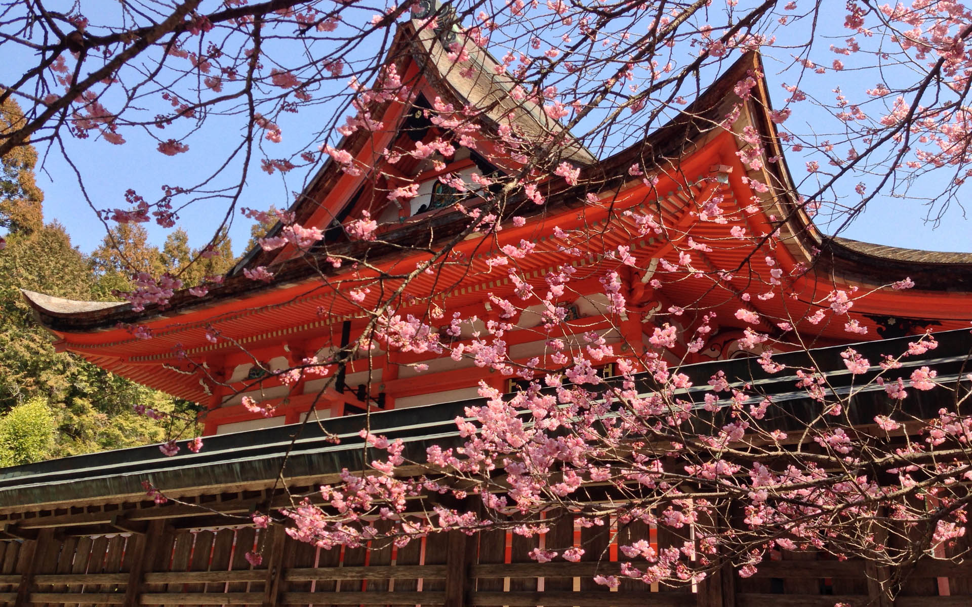  Japanischer Tempel 