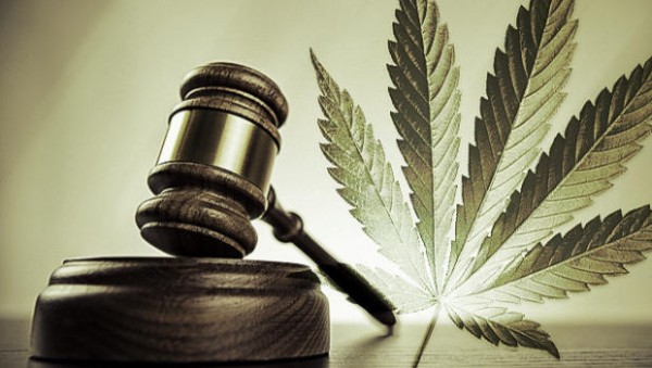  Legitimierung der Cannabis-Industrie 