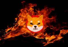Shiba Inu Burn Rate Soars, Koyo To Burn 50% of